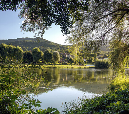Learn French in France in atlantic coast